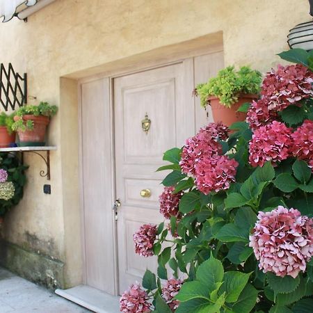 Guest House La Marignana Mogliano Veneto Exteriér fotografie