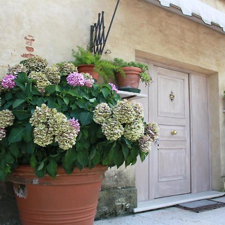 Guest House La Marignana Mogliano Veneto Exteriér fotografie